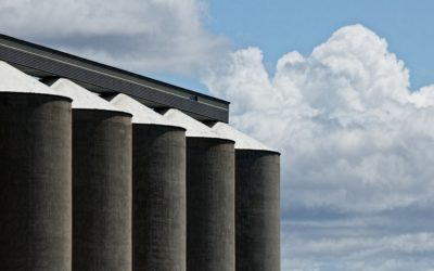 Como minimizar riscos no armazenamento de grãos em silos