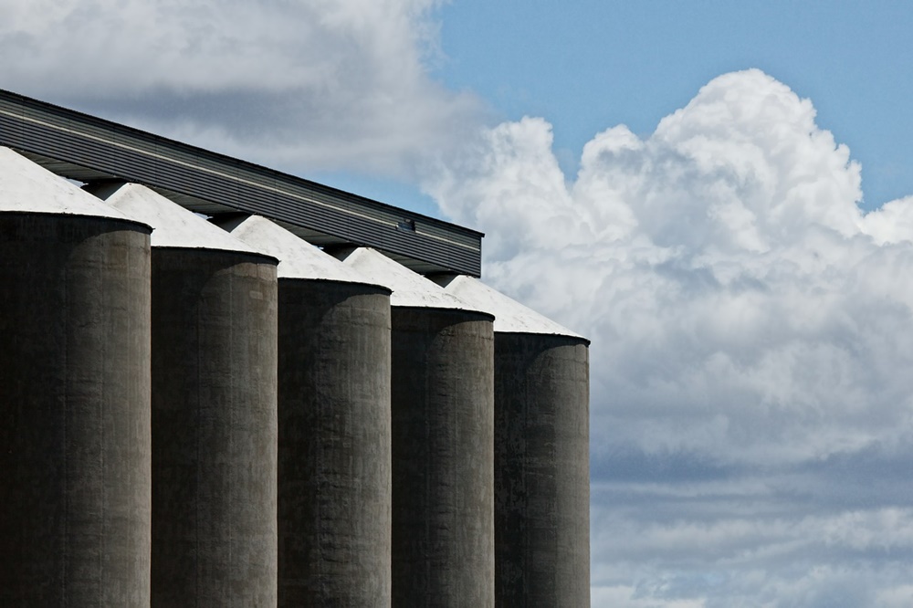 Como minimizar riscos no armazenamento de grãos em silos